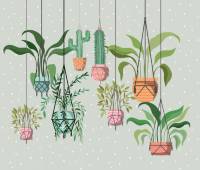 houseplants-macrame-hangers_25030-40141